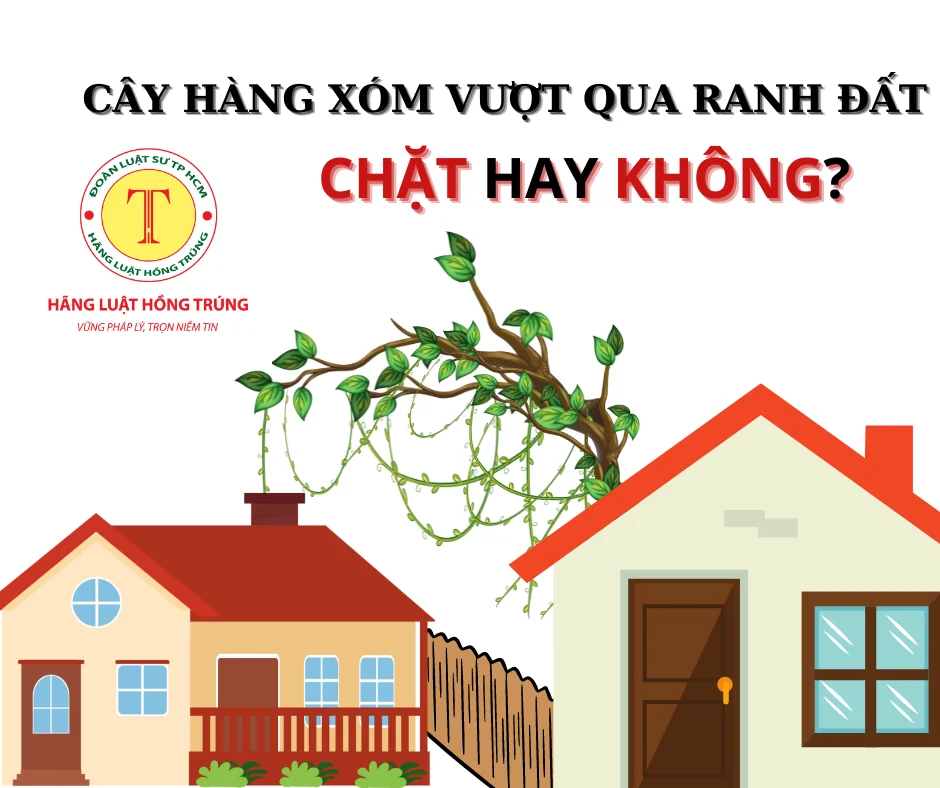 CÂY HÀNG XÓM VƯỢT QUA RANH ĐẤT - CHẶT HAY KHÔNG?