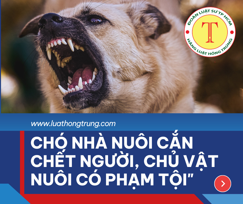 Chó nhà nuôi cắn chết người, chủ vật nuôi có phạm tội?